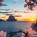 Profile Picture of Adrienne Hinds (@adrienne4855) on Pinterest