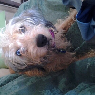 Profile Picture of Brian Kraemer (@bmkraemer28) on Twitter