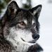 Profile Picture of Eric Poppleton (@eric.poppleton.9) on Facebook