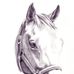 Profile Picture of Steve Schumann (Schumann) (@steve.schumann.98) on Facebook