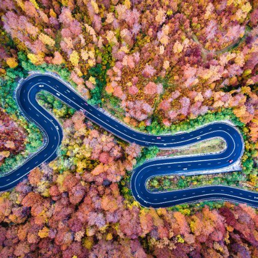 Profile Picture of hansigrimm (@hansigrimm) on Tiktok