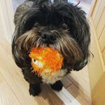 Profile Picture of Kim Pearce (@kim_bennitt) on Instagram