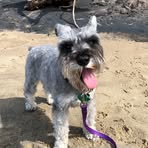 Profile Picture of Heidi Vanderlaan (@heidi.vanderlaan.9) on Facebook