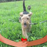 Profile Picture of Ina Probst (@probstina) on Instagram