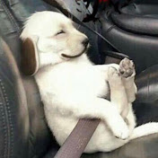 Profile Picture of Nicholas Cantin (@unclecantino6483) on Youtube