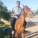 Profile Picture of Alexander Saad (@saadalexander) on Instagram