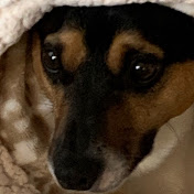 Profile Picture of Grady Moore (@gradymoore8996) on Youtube