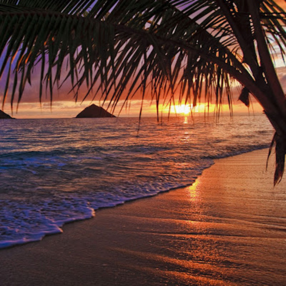 Profile Picture of Juliana Bottone (@jewelb_29) on Poshmark