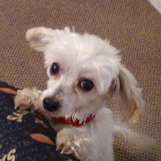 Profile Picture of Yolanda Riddle (@yolanda.riddle.94) on Facebook