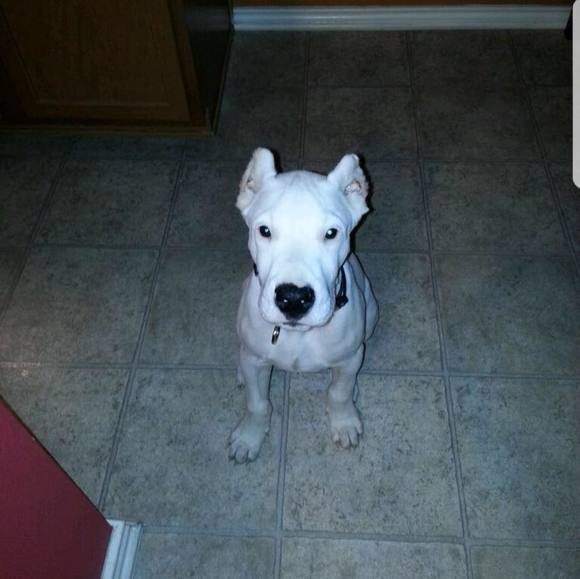 Profile Picture of Richard Valadez (@rmvz210) on Poshmark