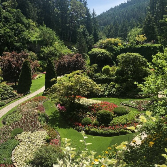 Profile Picture of Sukhman Chhina (@sukhmanchhina) on Poshmark