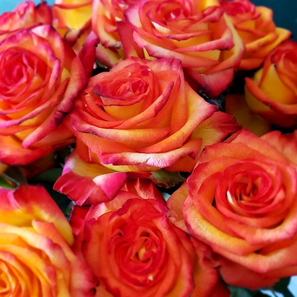 Profile Picture of Ray Nieves (@knickyknacky) on Poshmark