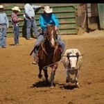 Profile Picture of Cody Eberhardt (@cody_eberhardt11) on Instagram