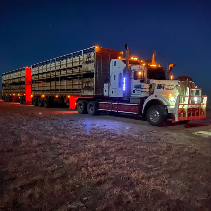 Jim Oliver - Tiktok Profile Picture of Jim Oliver (@jimoliver8) on Tiktok