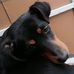 Profile Picture of Bany Bary Pucik Bandi (@banybarypucik.bandi.5) on Facebook