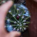 Profile Picture of Segophoto (@segophoto) on Flickr