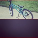 Profile Picture of Bradley (@bee_bee_1357) on Instagram