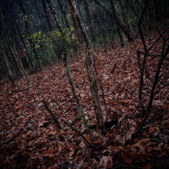 Profile Picture of Johnny Pharr (@johnnypharr) on Poshmark