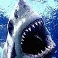 Profile Picture of Carson Henry (@carson-henry-13) on Quora
