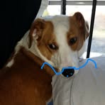 Profile Picture of Robert Friedland (@robert.friedland.355) on Facebook