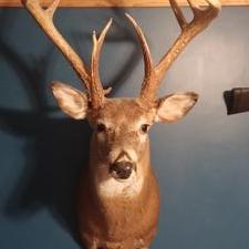 Profile Picture of Ken Bader (@kbader2149) on Twitter