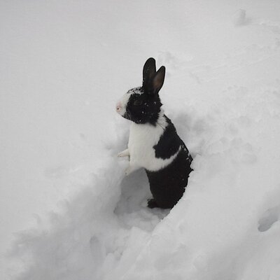 Profile Picture of Patty Pruitt (@AntSplatty) on Twitter