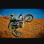 Profile Picture of Barrypiland (@wildmanyee) on Instagram