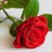 Profile Picture of Mita Roy (@mita.roy.35325) on Facebook