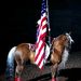 Profile Picture of Robert Eschete (@reschete1203) on Pinterest