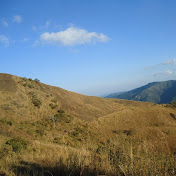 Profile Picture of Robert Burns (@robertburns2716) on Youtube