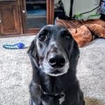 Profile Picture of Jacob Talbott (@talbott29) on Instagram