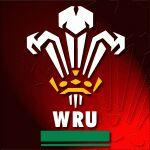 Joseph Rowden - Twitter Profile Picture of Joseph Rowden (@JosephRowden) on Twitter