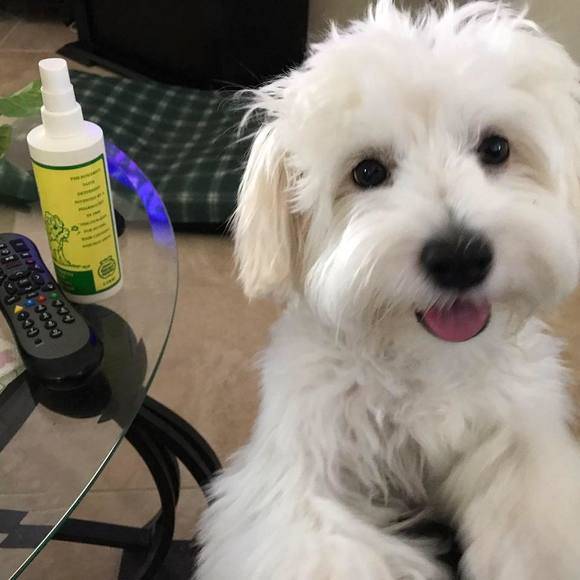 Profile Picture of Renee Bobula (@rjbobula) on Poshmark