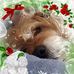 Profile Picture of David Pless (@david.pless.52) on Facebook