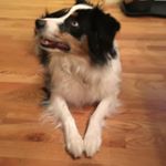 Profile Picture of Kyle Spitzer (@kyle_spitzer) on Instagram
