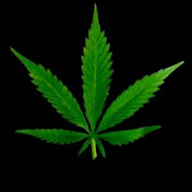 Profile Picture of Amir Rezai (@amirrezai3513) on Youtube