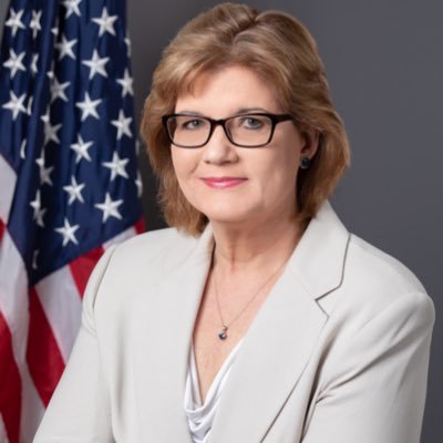 Profile Picture of Carol H Iannuzzi For U.S. House TX-26 (@caroltx26) on Twitter