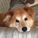 Profile Picture of Diane Vevig (@diane.vevig) on Facebook