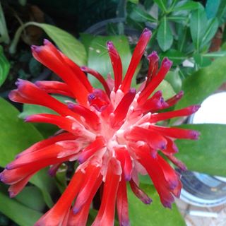 Profile Picture of Rong Tu (@rong.tu.14) on Facebook