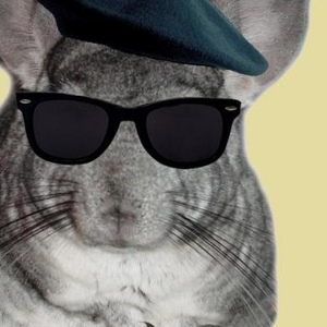 Profile Picture of Eugene & Vangough Chinchilla (@eugenezefrenchinchilla) on Myspace