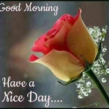 Profile Picture of Williams Timi Eunice (@TimiEunice) on Twitter