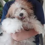 Profile Picture of Benjamin Tamayo (@Benjamin-Tamayo) on Facebook