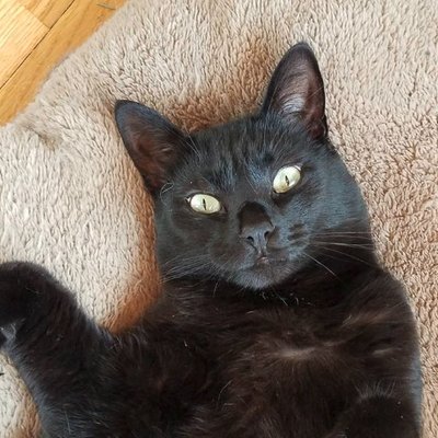 Profile Picture of Anthony Kimball (@AntKimball) on Twitter