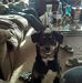Profile Picture of Roxy Haney (@roxy.haney.5) on Facebook