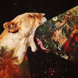 Profile Picture of Paul Hatala (@TheMSR123) on Twitter