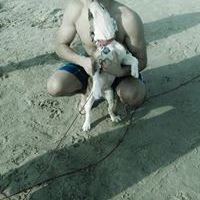 Profile Picture of Omar Limas (@limas_omar5) on Pinterest