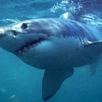 Profile Picture of Graham Hepburn (@GrahamHepburnx1) on Twitter