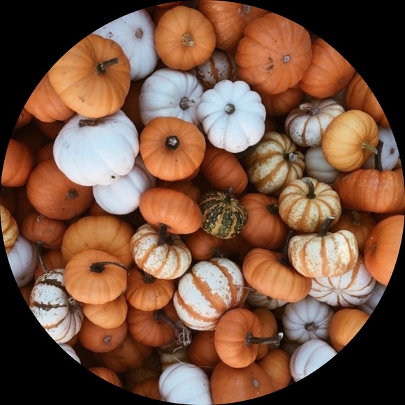 Profile Picture of Lee Lily (@leelily80) on Poshmark