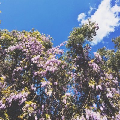 Joan Wong - Twitter Profile Picture of Joan Wong (@joansiepoansie) on Twitter