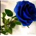 Profile Picture of Mushka (@mushka.mushka.1656) on Facebook